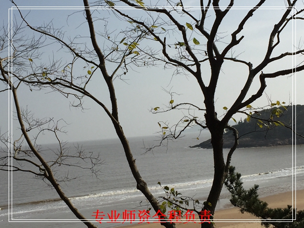 专业师资
