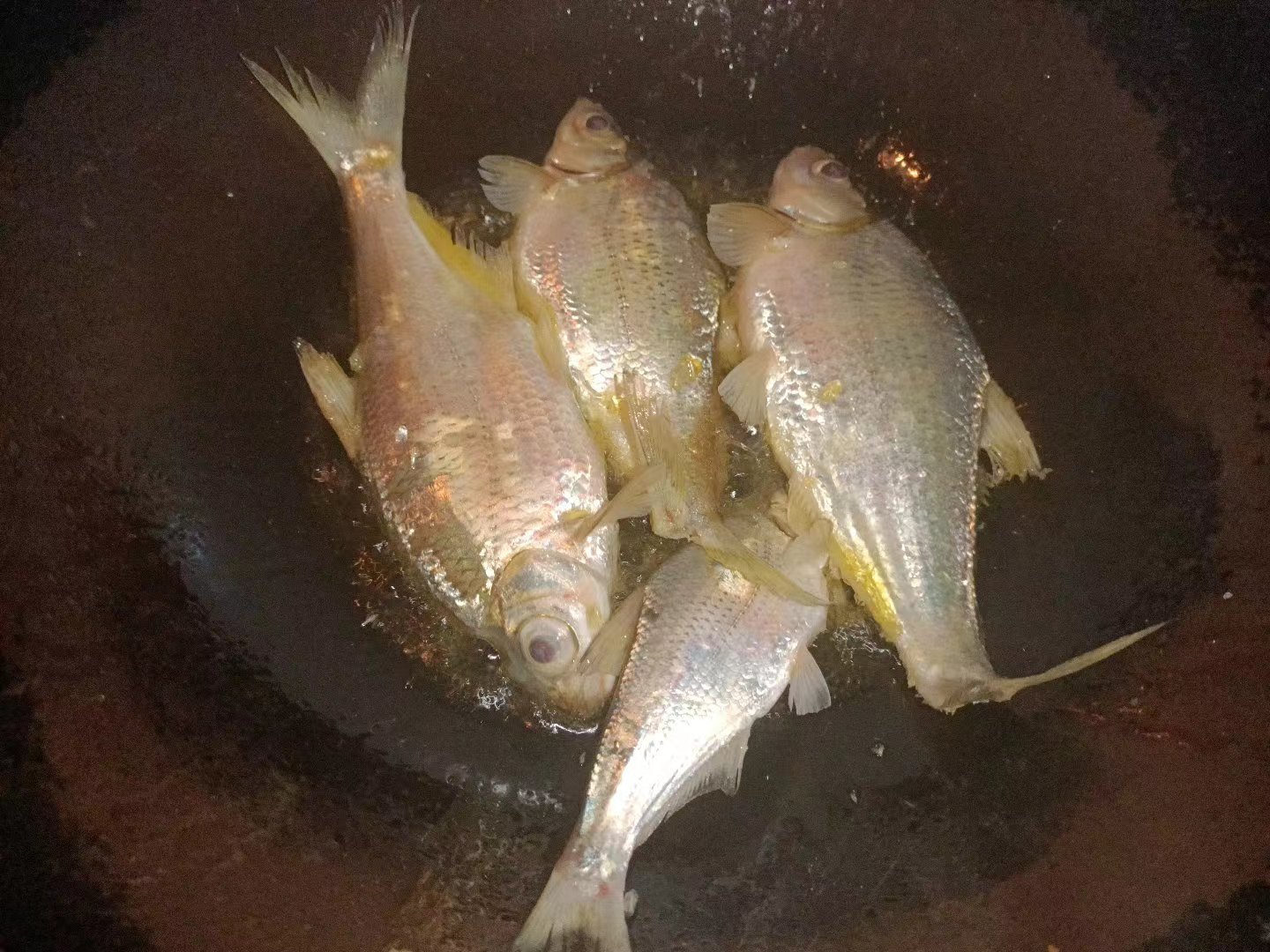 选择鱼竿注意事项