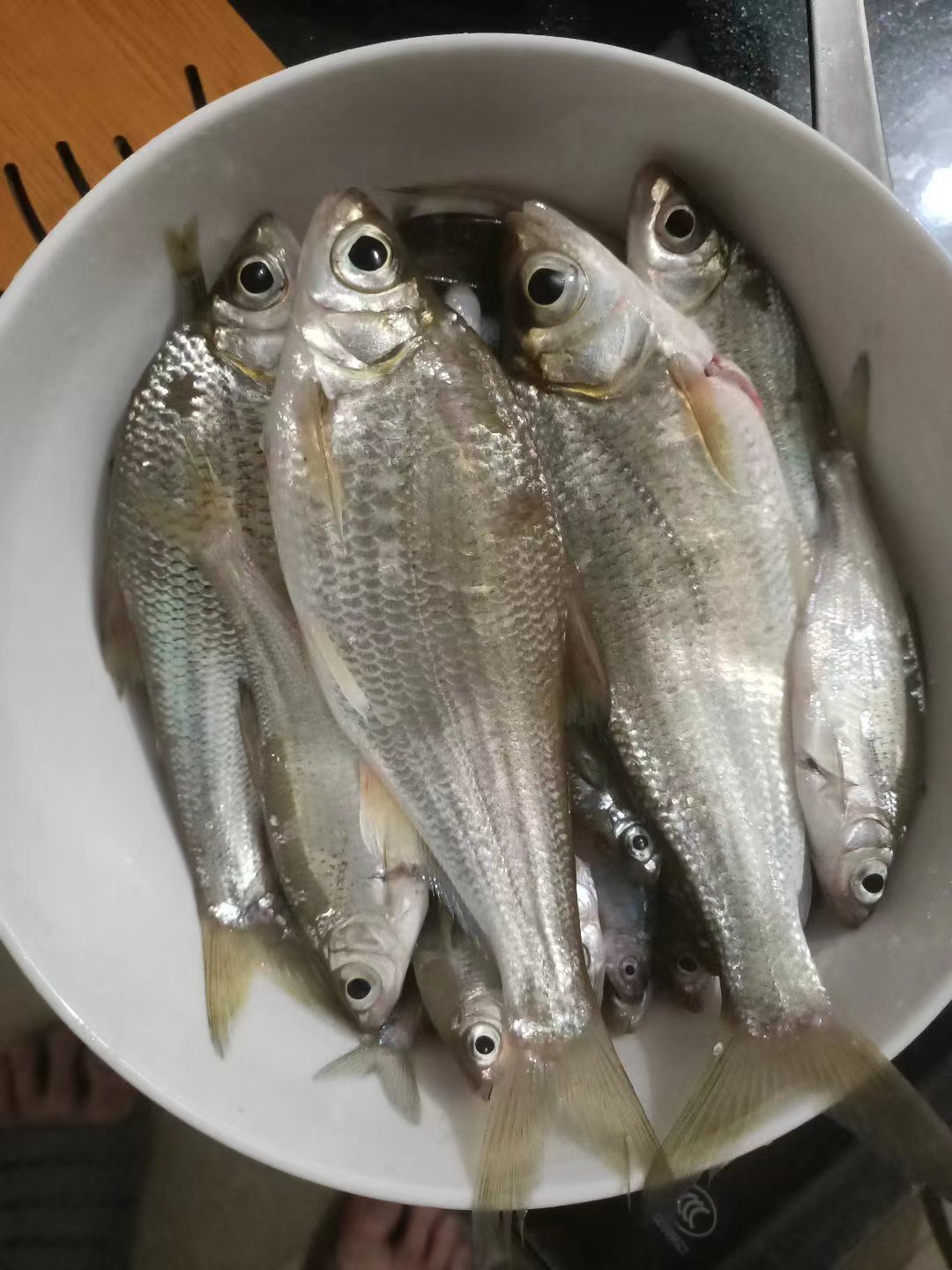 打窝窝料搭配秘诀，让你轻松成为钓鱼高手！